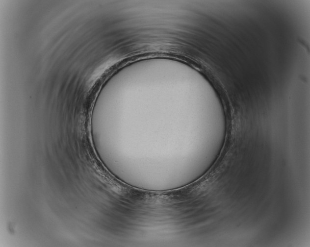 X0000103421019200809261702