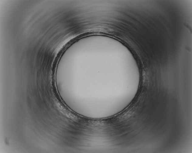 X0000103421020200809261702