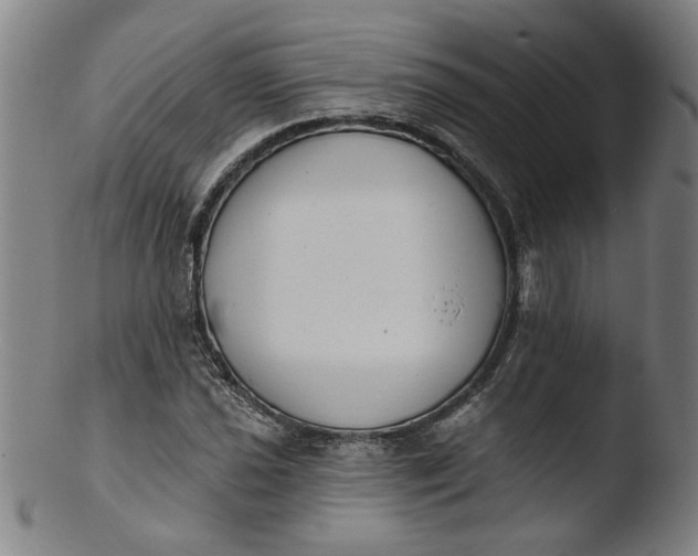 X0000103421021200809261702