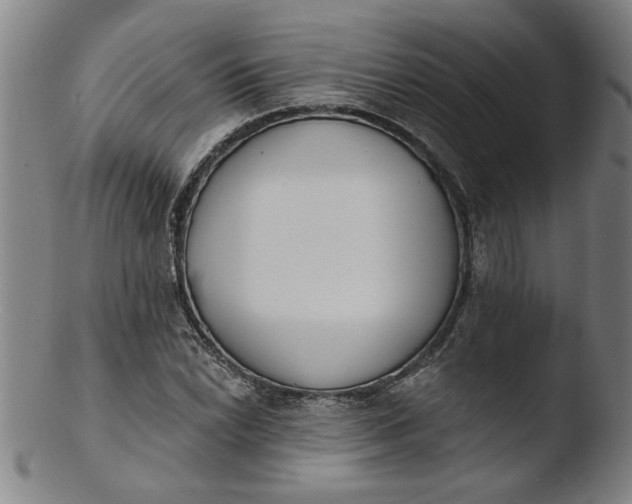 X0000103421022200809261702