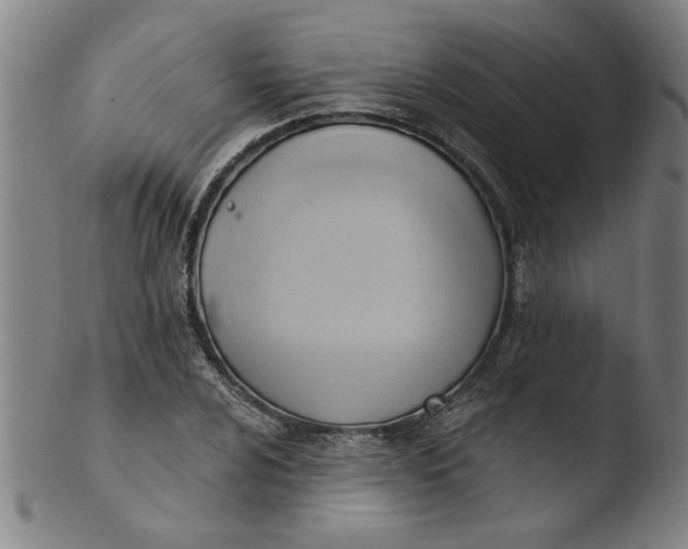 X0000103421024200809261702