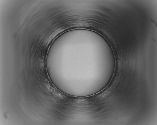 X0000103421025200809261702