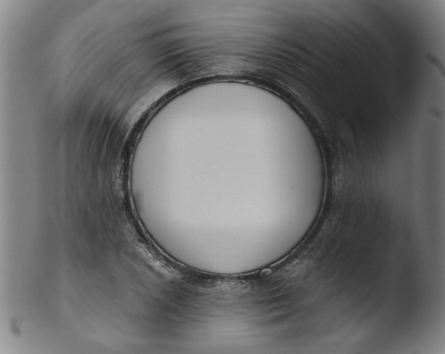 X0000103421026200809261702