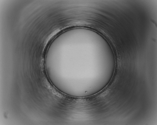 X0000103421029200809261702
