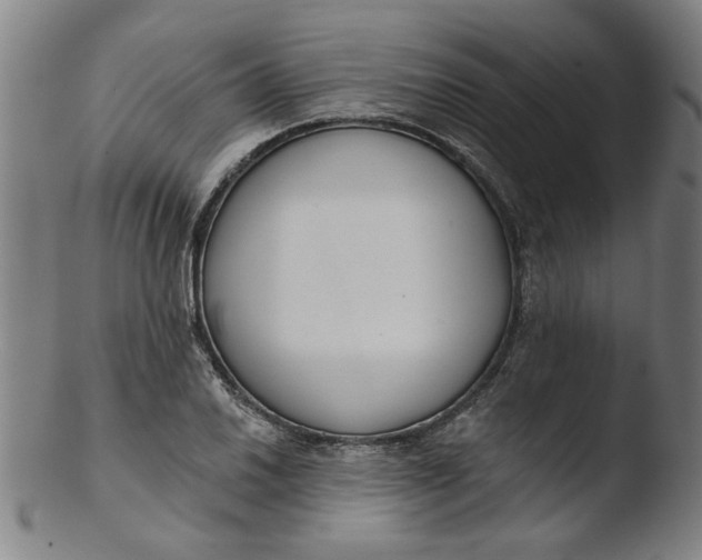 X0000103421030200809261702