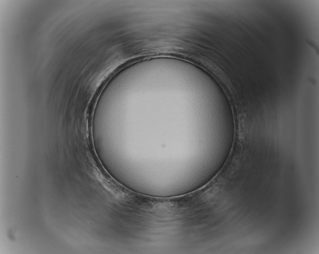 X0000103421031200809261702