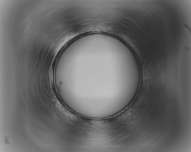 X0000103421032200809261702