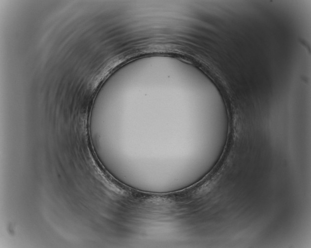 X0000103421033200809261702