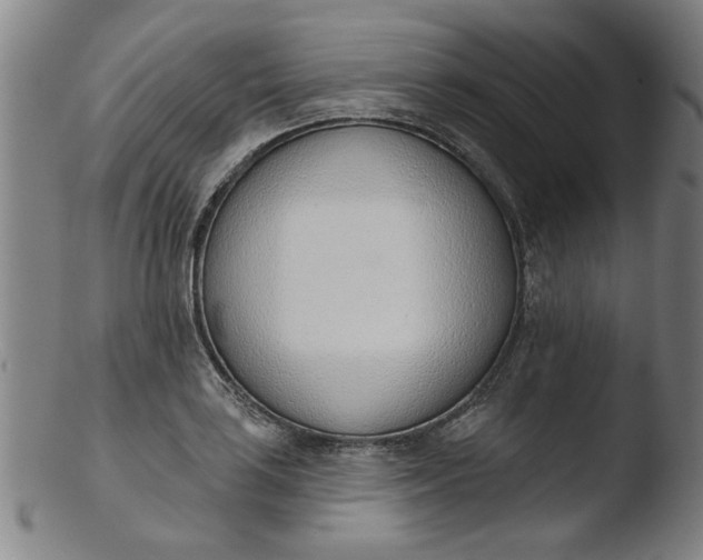 X0000103421035200809261702