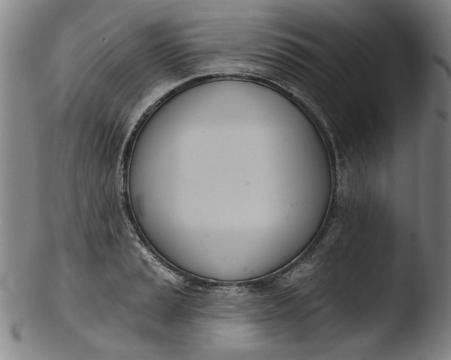 X0000103421037200809261702