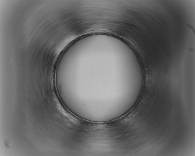 X0000103421038200809261702