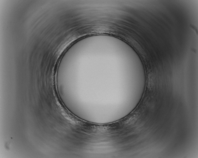 X0000103421039200809261702