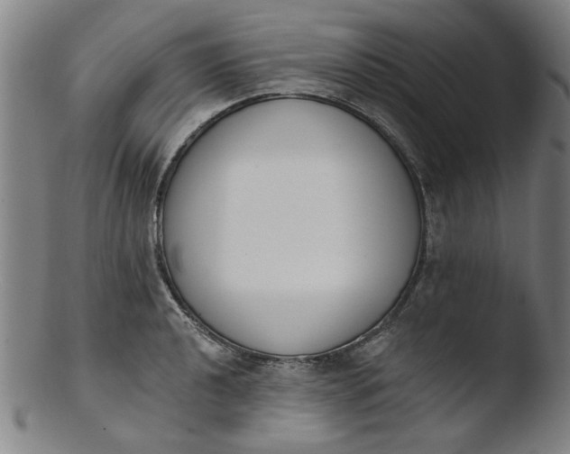 X0000103421040200809261702