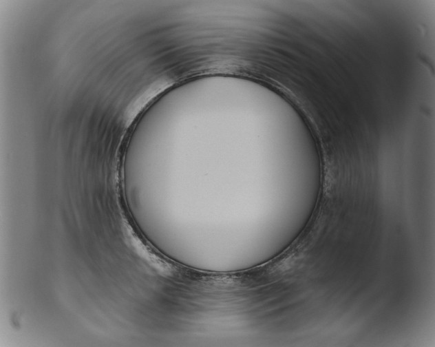 X0000103421042200809261702