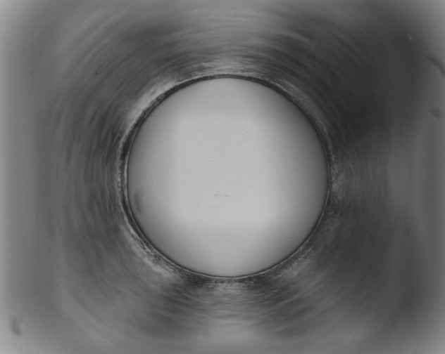 X0000103421043200809261702
