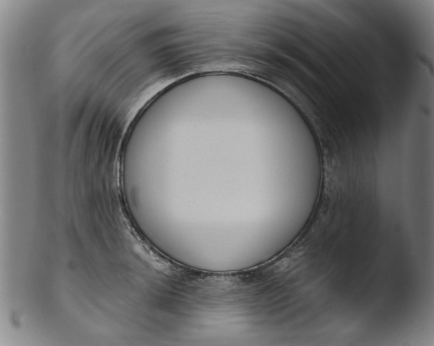 X0000103421044200809261702