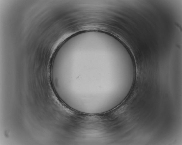 X0000103421045200809261702