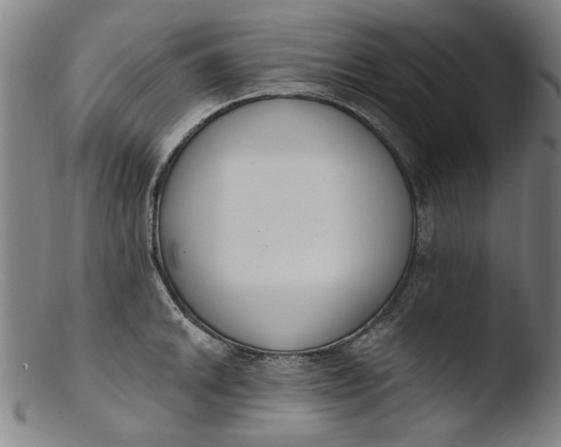 X0000103421046200809261702