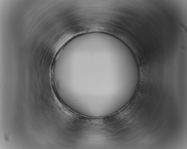 X0000103421047200809261702
