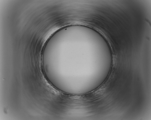 X0000103421048200809261702