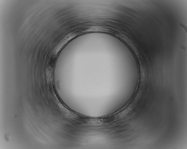 X0000103421049200809261702