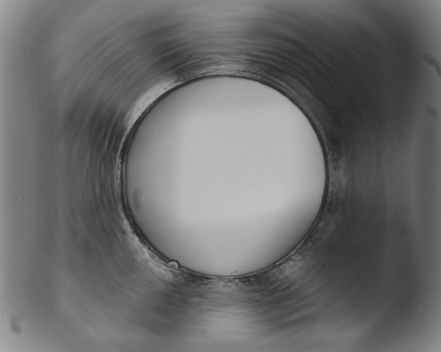 X0000103421050200809261702