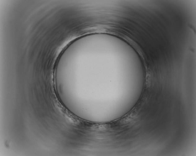 X0000103421051200809261702