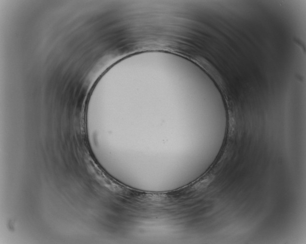 X0000103421052200809261702