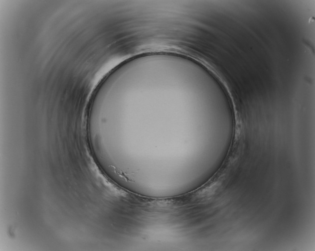 X0000103421053200809261702
