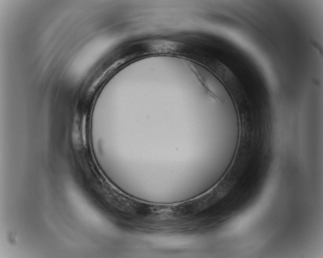 X0000103421054200809261702