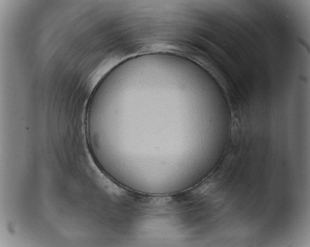 X0000103421055200809261702