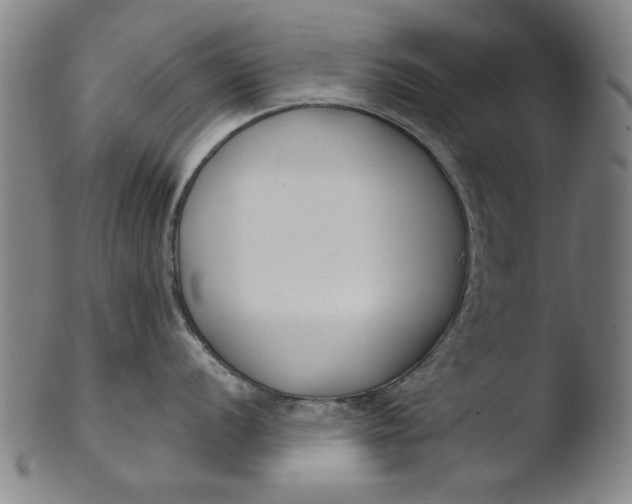 X0000103421056200809261702
