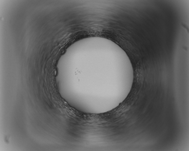 X0000103421057200809261702