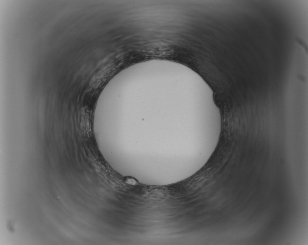 X0000103421058200809261702
