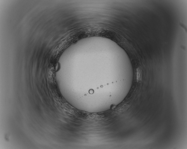 X0000103421059200809261701