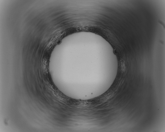 X0000103421060200809261701