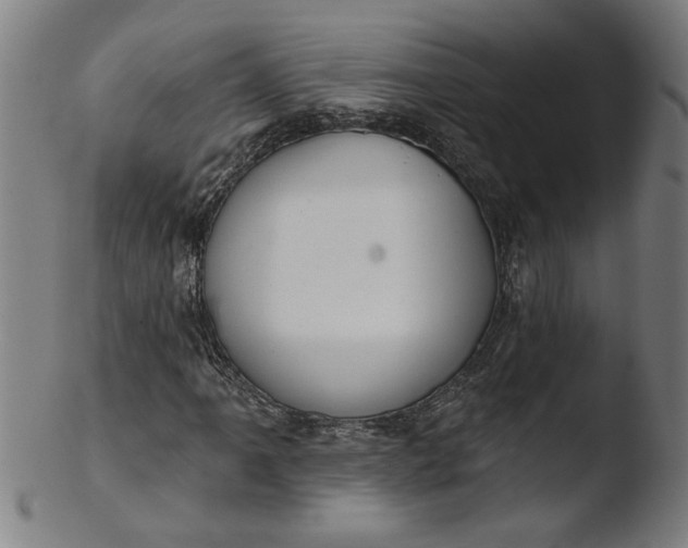 X0000103421061200809261701