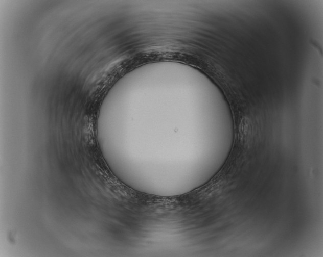 X0000103421062200809261701
