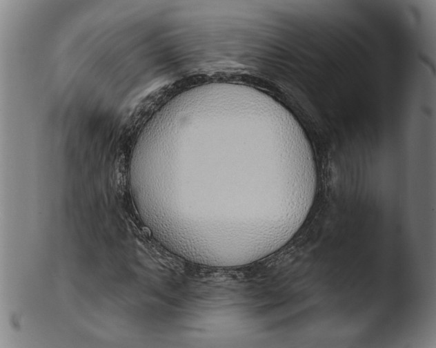 X0000103421063200809261701