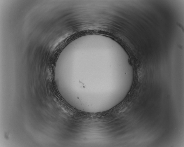 X0000103421064200809261701