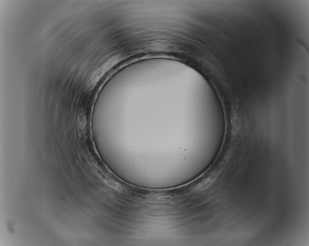 X0000103421065200809261701
