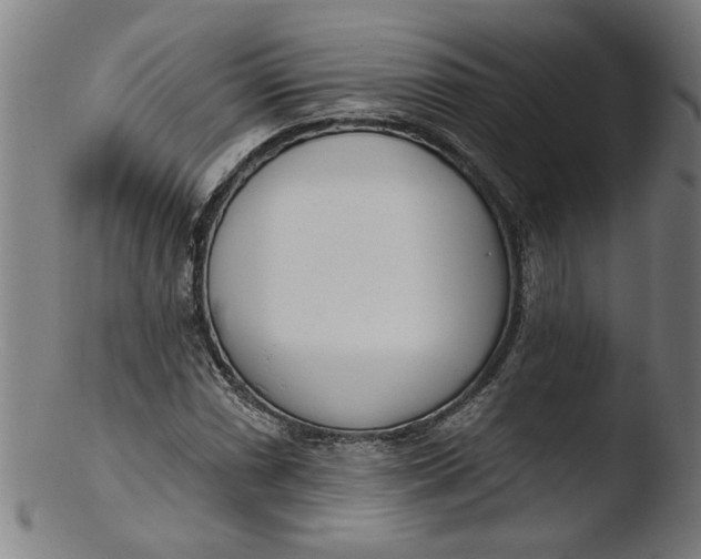 X0000103421066200809261701