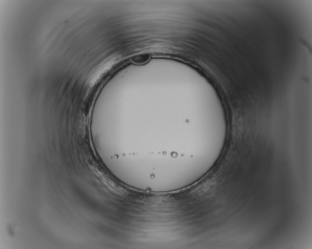 X0000103421067200809261701