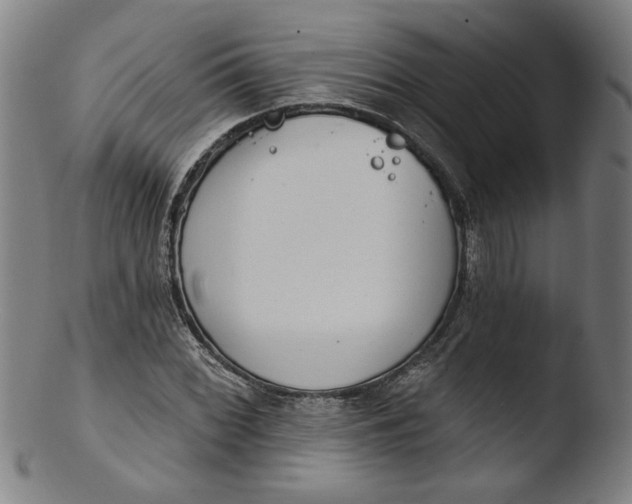 X0000103421068200809261701