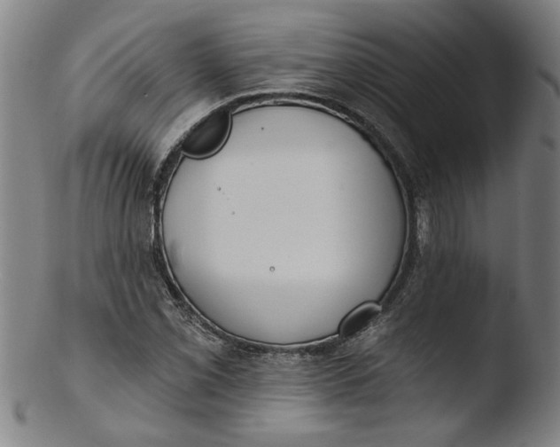 X0000103421069200809261701