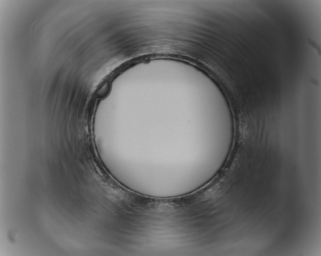 X0000103421070200809261701