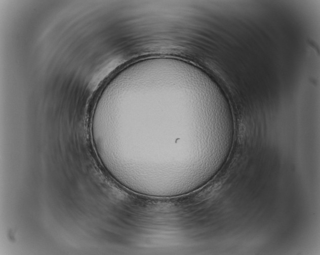 X0000103421071200809261701