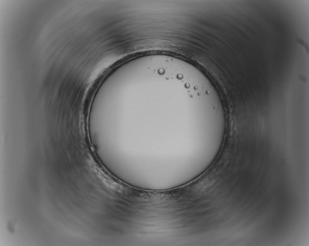 X0000103421072200809261701