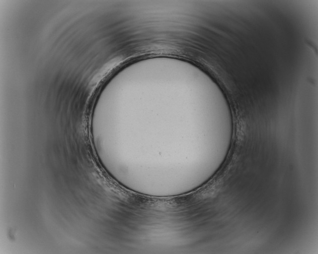 X0000103421074200809261701
