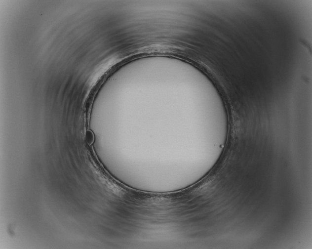 X0000103421075200809261701